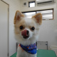 DSCN0165