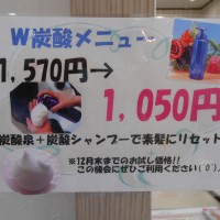 DSCN0474