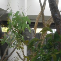 DSCN0517