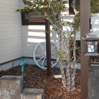 DSCN0551